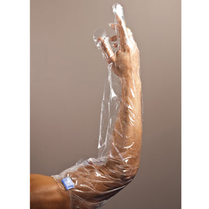 Foam Dressing