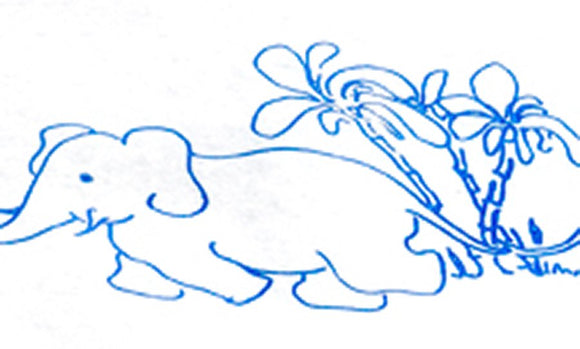 General Purpose Drape Pack