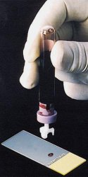 Composite Dressing